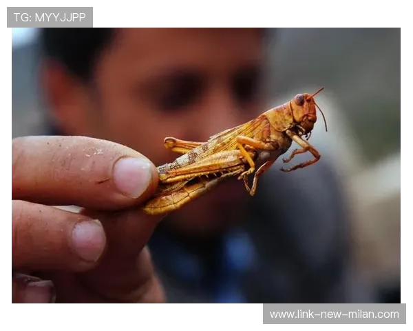 国际体育媒体怒怼东道主：你们准备太差